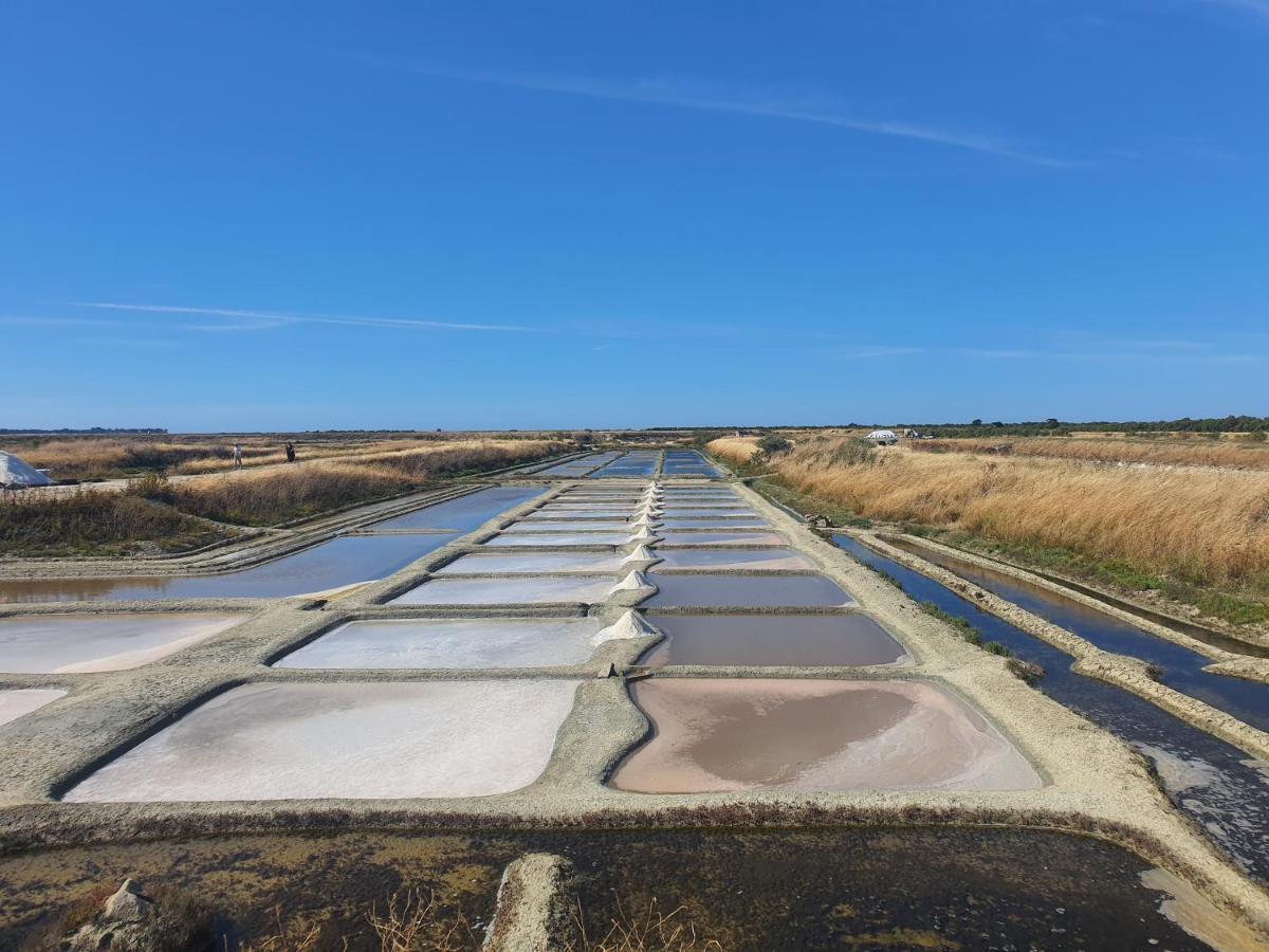 Cote Re Leilighet Saint-Martin-de-Ré Eksteriør bilde